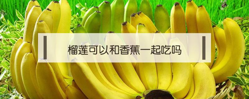 榴莲可以和香蕉一起吃吗 榴莲和香蕉一起吃可以吗?