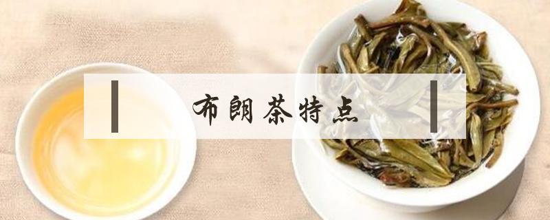 布朗茶特点（布朗生茶特点）