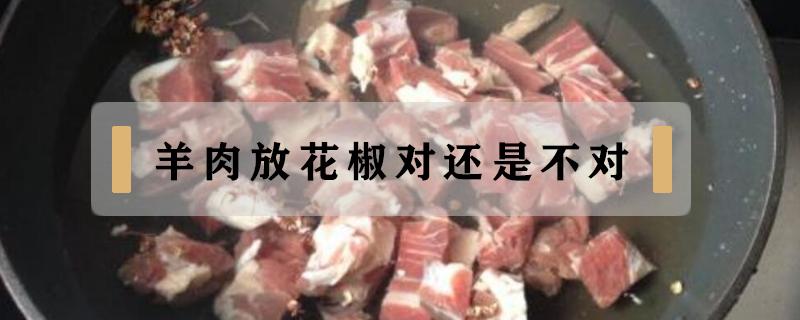 羊肉放花椒对还是不对（羊肉为什么不能加花椒）