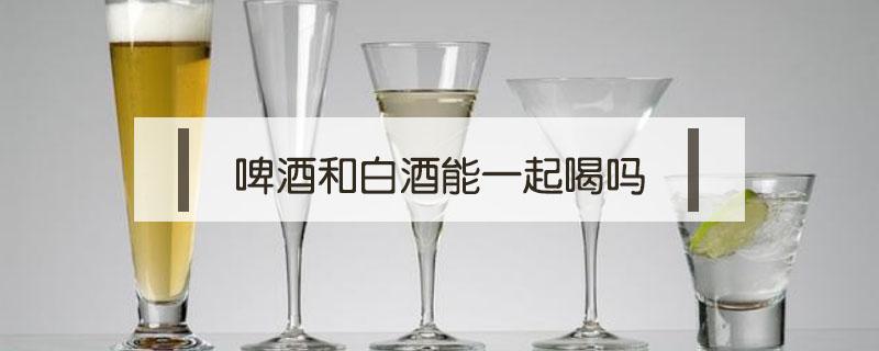 啤酒和白酒能一起喝吗（啤酒能和白酒一起喝么）