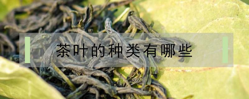 茶叶的种类有哪些（茶叶的品种和名称大全）