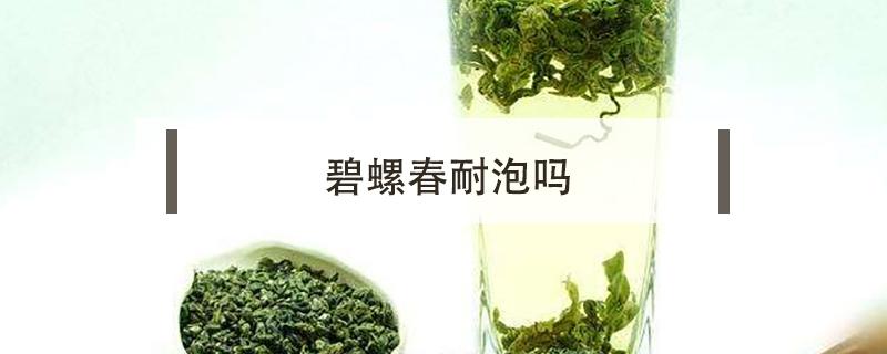 碧螺春耐泡吗