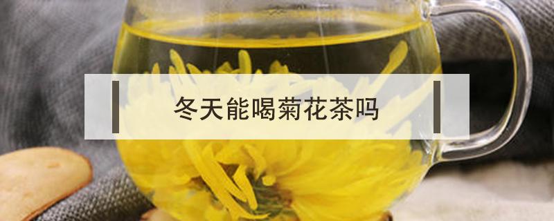 冬天能喝菊花茶吗（冬天可以喝菊花茶吗?）