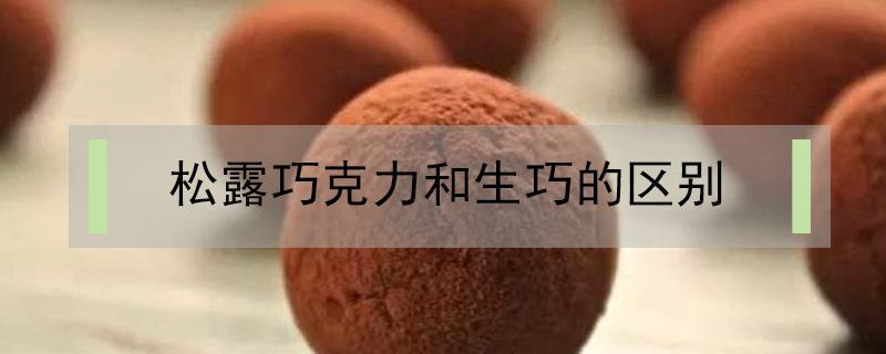 松露巧克力和生巧的区别 松露巧克力 生巧