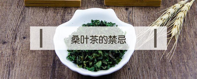 桑叶茶的禁忌（桑叶茶的禁忌制作）