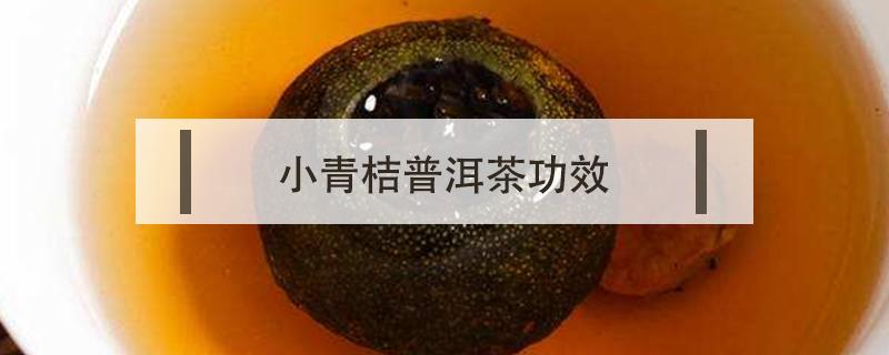 小青桔普洱茶功效（小青桔普洱茶的功效与作用）