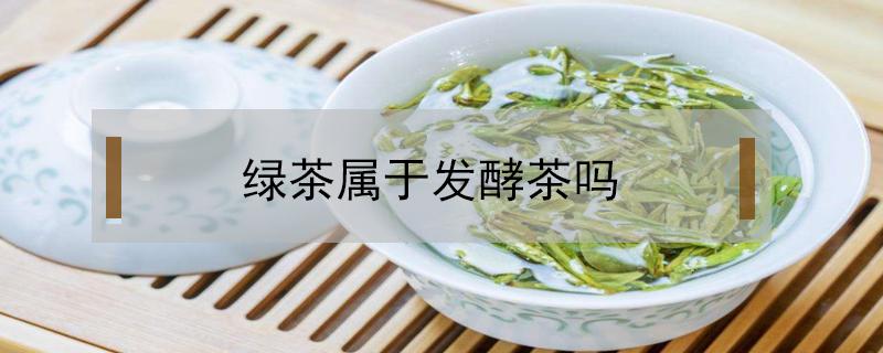 绿茶属于发酵茶吗（绿茶属于发酵茶嘛）