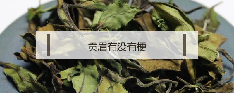 贡眉有没有梗 贡眉长什么样