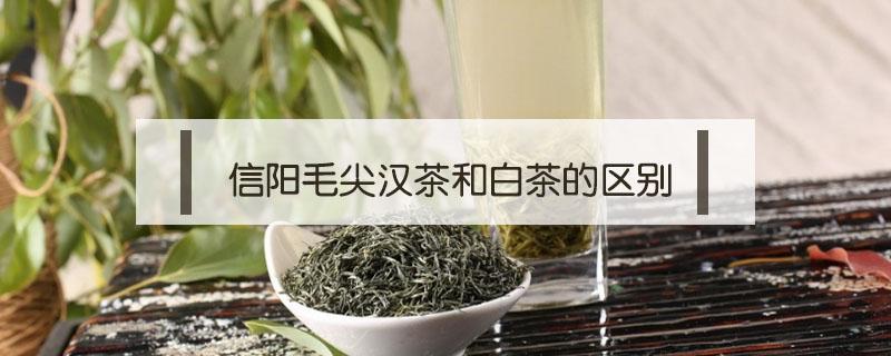 信阳毛尖汉茶和白茶的区别（信阳毛尖和安吉白茶的区别）