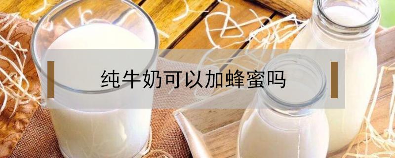 纯牛奶可以加蜂蜜吗 纯牛奶可以加蜂蜜吗晚上