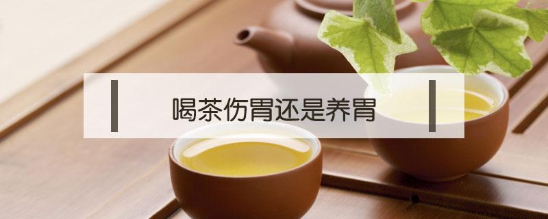 喝茶伤胃还是养胃 喝茶是伤胃还是养胃