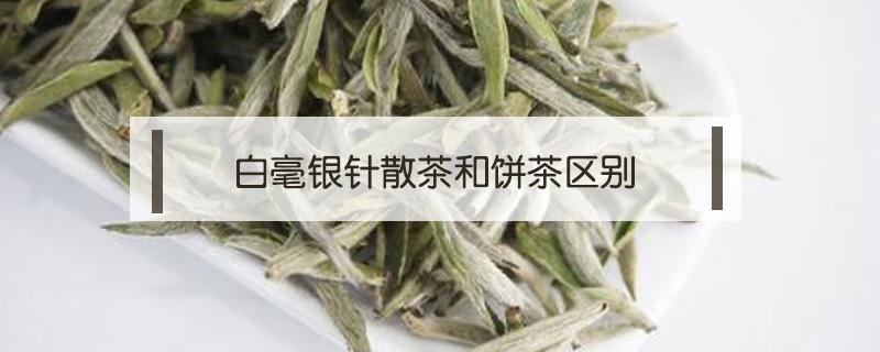 白毫银针散茶和饼茶区别 白毫银针是散装好还是茶饼好