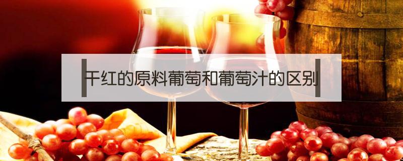 干红的原料葡萄和葡萄汁的区别 干红配料有的是葡萄有的是葡萄汁