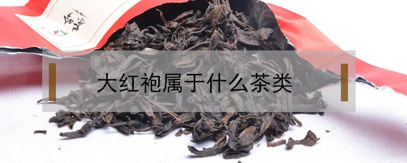 大红袍属于什么茶类（福建大红袍属于什么茶类）