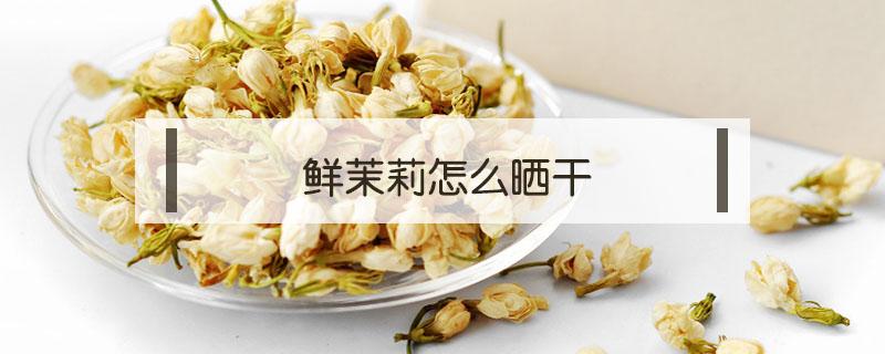 鲜茉莉怎么晒干 茉莉花晒干后可以做什么