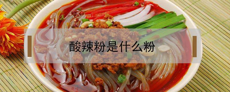 酸辣粉是什么粉（酸辣粉是什么粉条）