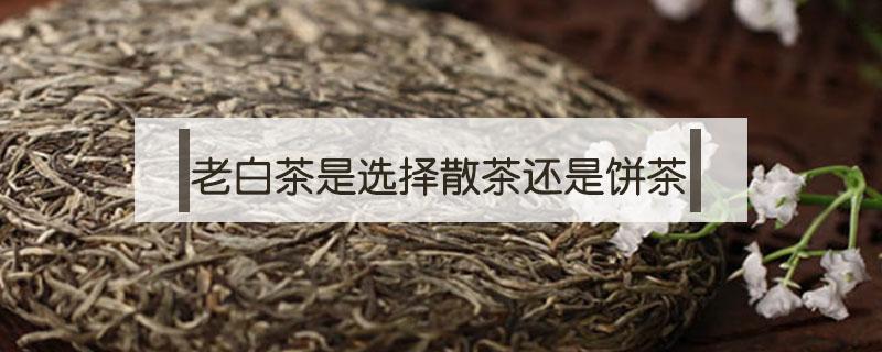 老白茶是选择散茶还是饼茶