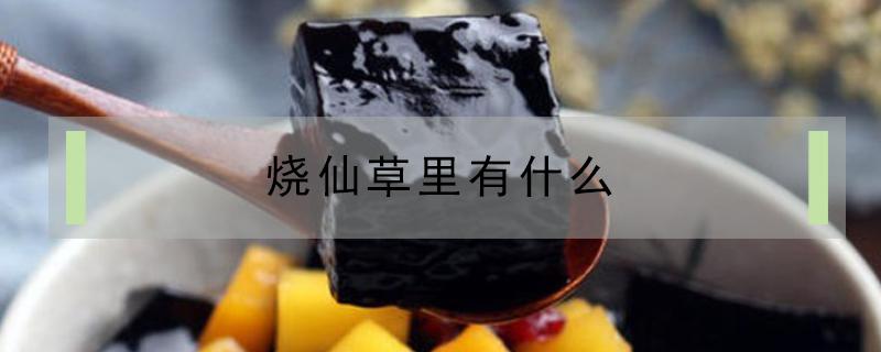 烧仙草里有什么（烧仙草里有什么配料）