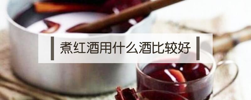 煮红酒用什么酒比较好