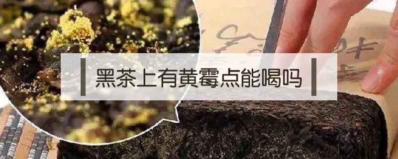 黑茶上有黄霉点能喝吗 黑茶有黄点是不是发霉?