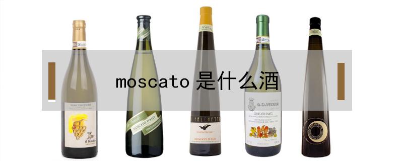 moscato是什么酒（moscato是什么酒ocean）