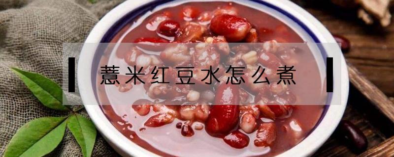 薏米红豆水怎么煮（薏米红豆水怎么煮除湿）