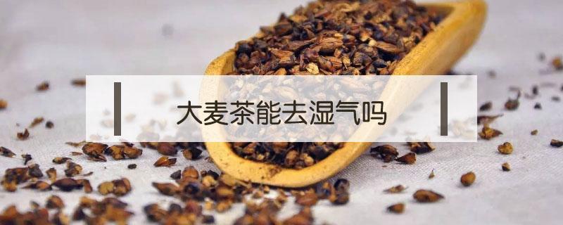 大麦茶能去湿气吗 大麦茶可以去湿气吗?