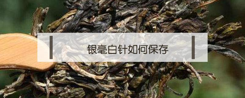 银毫白针如何保存（白毫银针怎样存放）