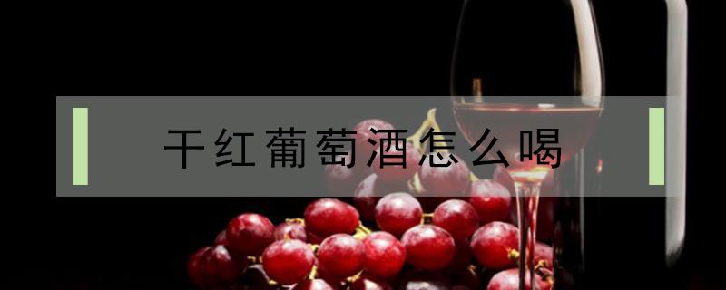 干红葡萄酒怎么喝