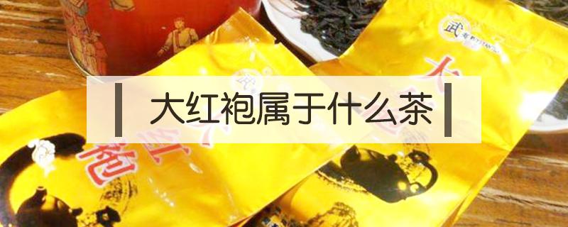 大红袍属于什么茶 大红袍属于什么茶多少钱一斤