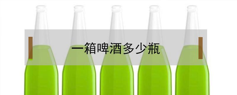 一箱啤酒多少瓶 九度一箱啤酒多少瓶