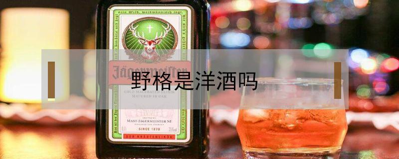 野格是洋酒吗 野格酒是红酒还是洋酒