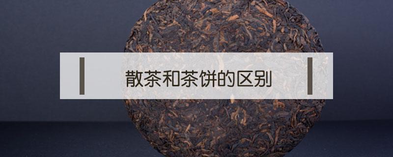 散茶和茶饼的区别（普洱茶饼和散茶的区别）