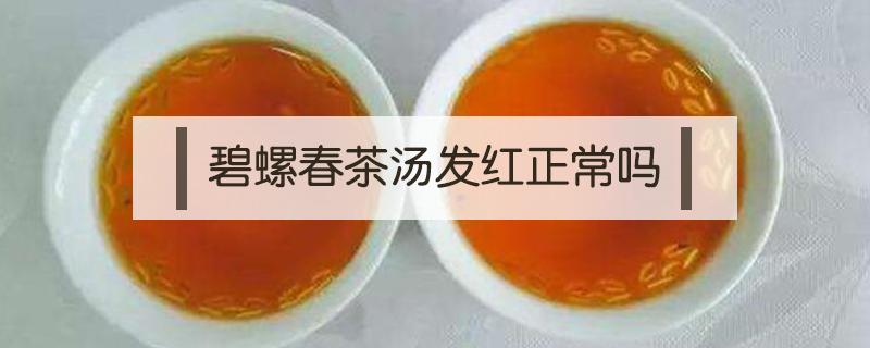 碧螺春茶汤发红正常吗（碧螺春泡出的茶汤红色）