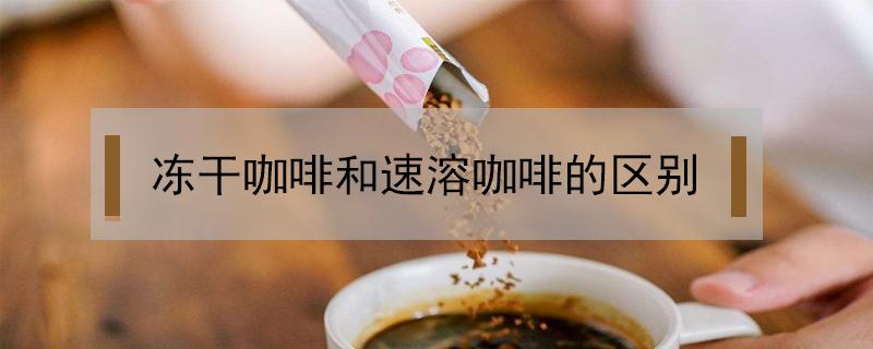 冻干咖啡和速溶咖啡的区别 冻干咖啡和速溶咖啡有什么区别