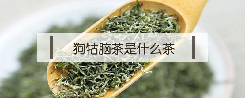 狗牯脑茶是什么茶