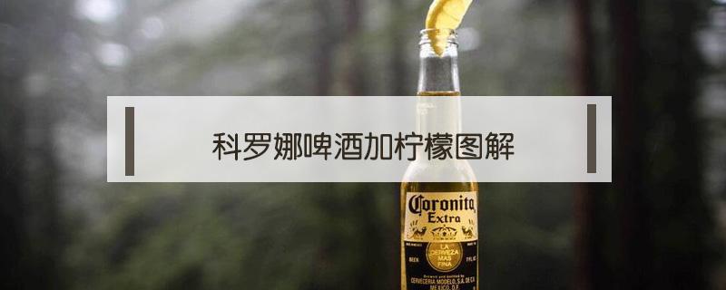 科罗娜啤酒加柠檬图解（科罗娜啤酒加柠檬图片）