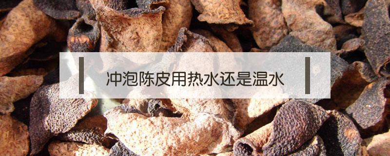 冲泡陈皮用热水还是温水（陈皮需要开水冲泡吗）