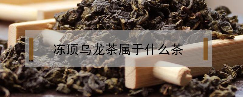 冻顶乌龙茶属于什么茶 台湾冻顶乌龙茶属于什么茶