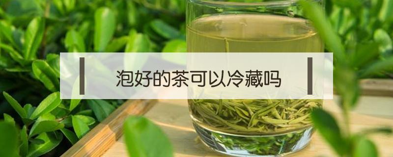 泡好的茶可以冷藏吗（自己泡的茶水可以冷藏吗）