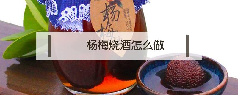 杨梅烧酒怎么做（杨梅烧酒怎么做窍门）