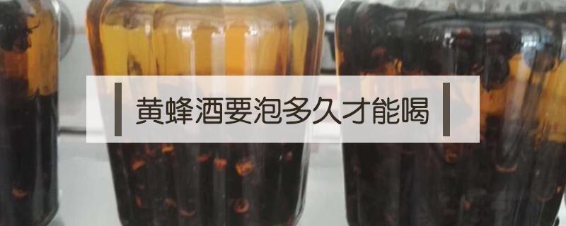 黄蜂酒要泡多久才能喝（黄蜂酒要泡多长时间可以喝）