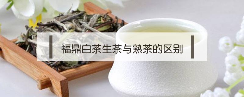 福鼎白茶生茶与熟茶的区别