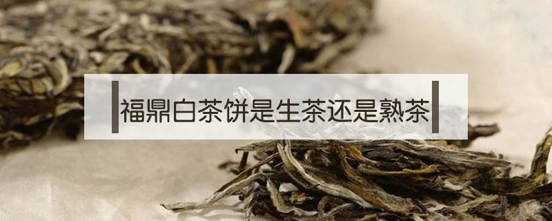 福鼎白茶饼是生茶还是熟茶（福鼎白茶茶饼是生茶还是熟茶）