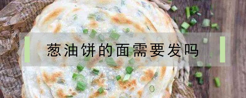 葱油饼的面需要发吗（做葱油饼的面要发吗）