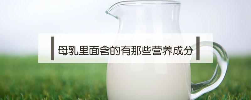 母乳里面含的有那些营养成分