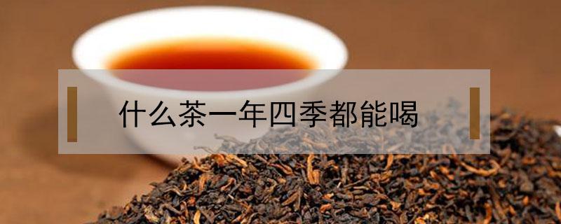 什么茶一年四季都能喝（什么茶可以一年四季常喝）