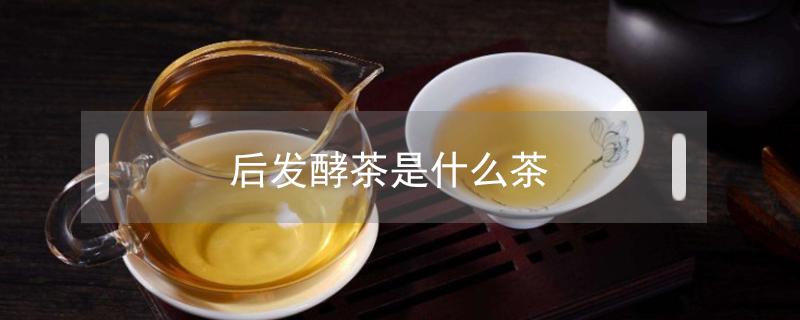 后发酵茶是什么茶（后发酵的茶是什么茶）