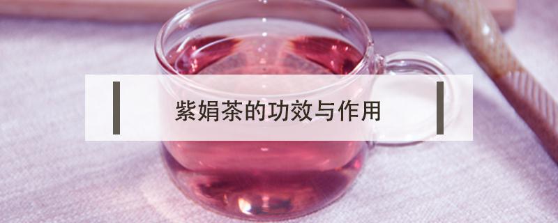 紫娟茶的功效与作用（紫娟白茶功效）