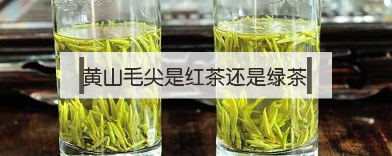 黄山毛尖是红茶还是绿茶 黄山毛尖是红茶吗